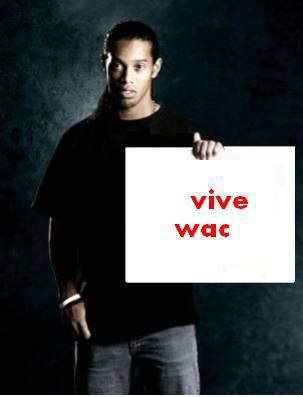 vive  wac